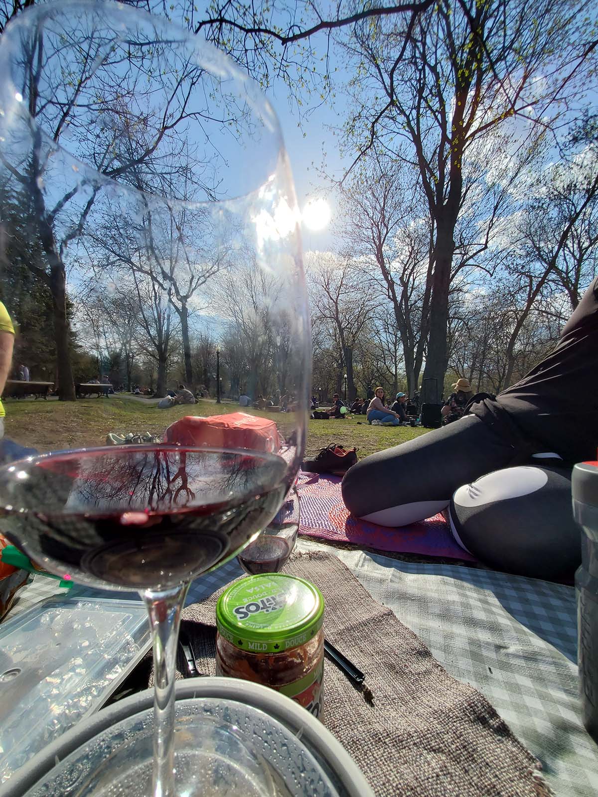 Piquenique de primavera no Parc La Fontaine em 26 de abril de 2022 - Fonte: Arquivo pessoal